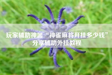 玩家辅助神器“神雀麻将开挂多少钱”分享辅助外挂教程