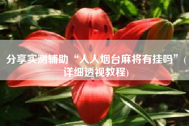 分享实测辅助“人人烟台麻将有挂吗”(详细透视教程)