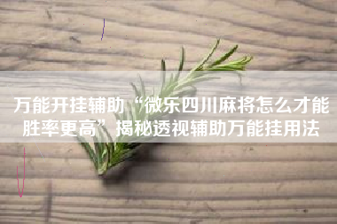 万能开挂辅助“微乐四川麻将怎么才能胜率更高”揭秘透视辅助万能挂用法