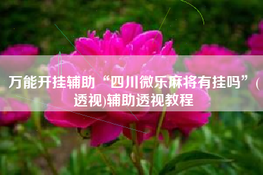 万能开挂辅助“四川微乐麻将有挂吗	”(透视)辅助透视教程