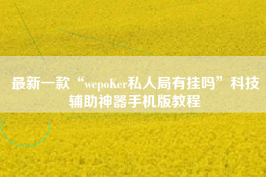 最新一款“wepoKer私人局有挂吗”科技辅助神器手机版教程
