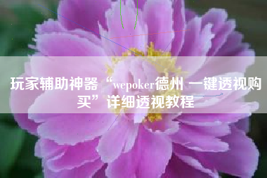 玩家辅助神器“wepoker德州 一键透视购买”详细透视教程