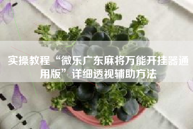 实操教程“微乐广东麻将万能开挂器通用版	”详细透视辅助方法