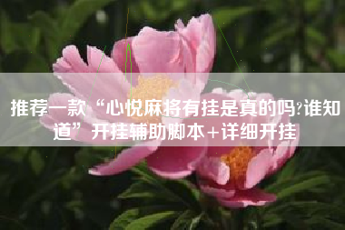 推荐一款“心悦麻将有挂是真的吗?谁知道”开挂辅助脚本+详细开挂