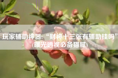玩家辅助神器:“财神十三张有辅助挂吗”(曝光透视必备猫腻)
