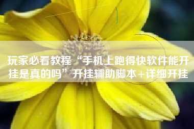 玩家必看教程“手机上跑得快软件能开挂是真的吗”开挂辅助脚本+详细开挂