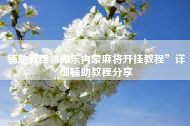 辅助教程“微乐内蒙麻将开挂教程”详细辅助教程分享