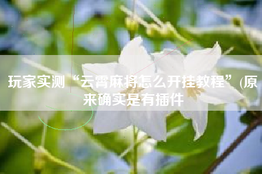 玩家实测“云霄麻将怎么开挂教程”(原来确实是有插件