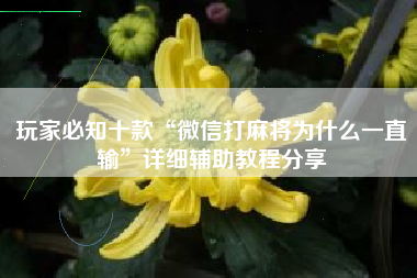 玩家必知十款“微信打麻将为什么一直输	”详细辅助教程分享