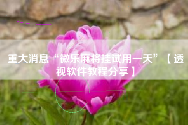 重大消息“微乐麻将挂试用一天	”【透视软件教程分享】