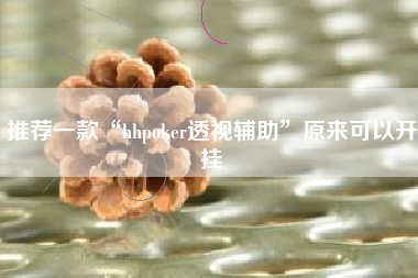 推荐一款“hhpoker透视辅助”原来可以开挂
