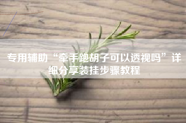 专用辅助“牵手跑胡子可以透视吗”详细分享装挂步骤教程