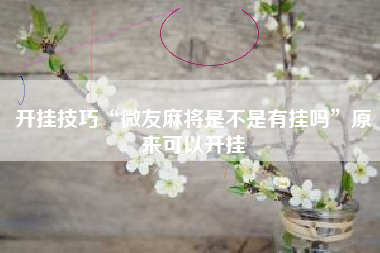 开挂技巧“微友麻将是不是有挂吗”原来可以开挂