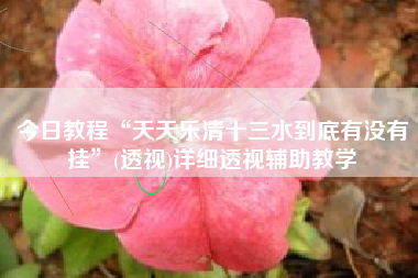 今日教程“天天乐清十三水到底有没有挂”(透视)详细透视辅助教学 今日教程“天天乐清十三水到底有没有挂”(透视)详细透视辅助教学