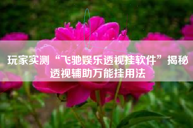 玩家实测“飞驰娱乐透视挂软件	”揭秘透视辅助万能挂用法