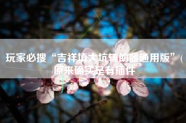 玩家必搜“吉祥填大坑辅助器通用版”(原来确实是有插件 玩家必搜“吉祥填大坑辅助器通用版”(原来确实是有插件