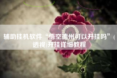 辅助挂机软件“悟空德州可以开挂吗	”(透视)开挂详细教程