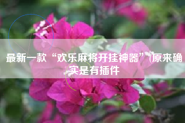 最新一款“欢乐麻将开挂神器”(原来确实是有插件 最新一款“欢乐麻将开挂神器”(原来确实是有插件