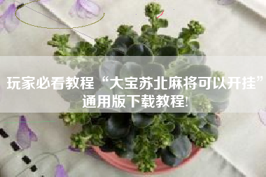 玩家必看教程“大宝苏北麻将可以开挂	”通用版下载教程!