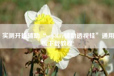 实测开挂辅助“wepoker辅助透视挂”通用版下载教程!