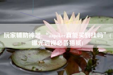 玩家辅助神器:“aapoker真能买到挂吗”(曝光透视必备猫腻)