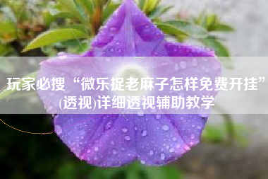 玩家必搜“微乐捉老麻子怎样免费开挂”(透视)详细透视辅助教学