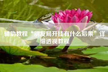 辅助教程“朋友局开挂有什么后果”详细透视教程