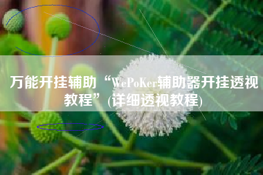 万能开挂辅助“WePoKer辅助器开挂透视教程”(详细透视教程)