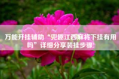 万能开挂辅助“兜趣江西麻将下挂有用吗”详细分享装挂步骤! 万能开挂辅助“兜趣江西麻将下挂有用吗”详细分享装挂步骤!