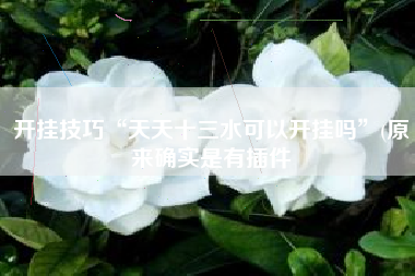 开挂技巧“天天十三水可以开挂吗”(原来确实是有插件