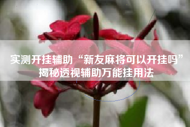 实测开挂辅助“新友麻将可以开挂吗”揭秘透视辅助万能挂用法