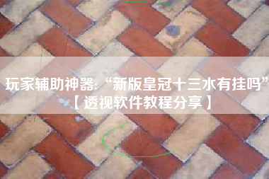 玩家辅助神器:“新版皇冠十三水有挂吗”【透视软件教程分享】