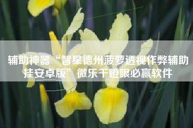 辅助神器“智星德州菠萝透视作弊辅助挂安卓版	”微乐干瞪眼必赢软件