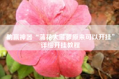 助赢神器“蒲花大菠萝原来可以开挂”详细开挂教程