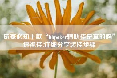 玩家必知十款“hhpoker辅助挂是真的吗”透视挂!详细分享装挂步骤