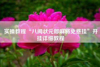 实操教程“八闽状元郎麻将免费挂”开挂详细教程 实操教程“八闽状元郎麻将免费挂”开挂详细教程