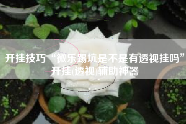 开挂技巧“微乐踢坑是不是有透视挂吗	”开挂(透视)辅助神器