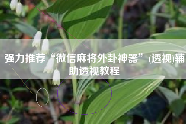 强力推荐“微信麻将外卦神器”(透视)辅助透视教程