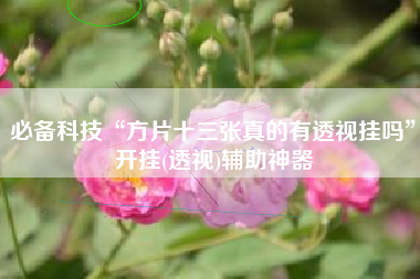 必备科技“方片十三张真的有透视挂吗”开挂(透视)辅助神器